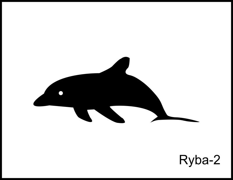 ryby